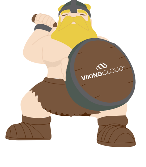 Picture of Viking Stress Reliever